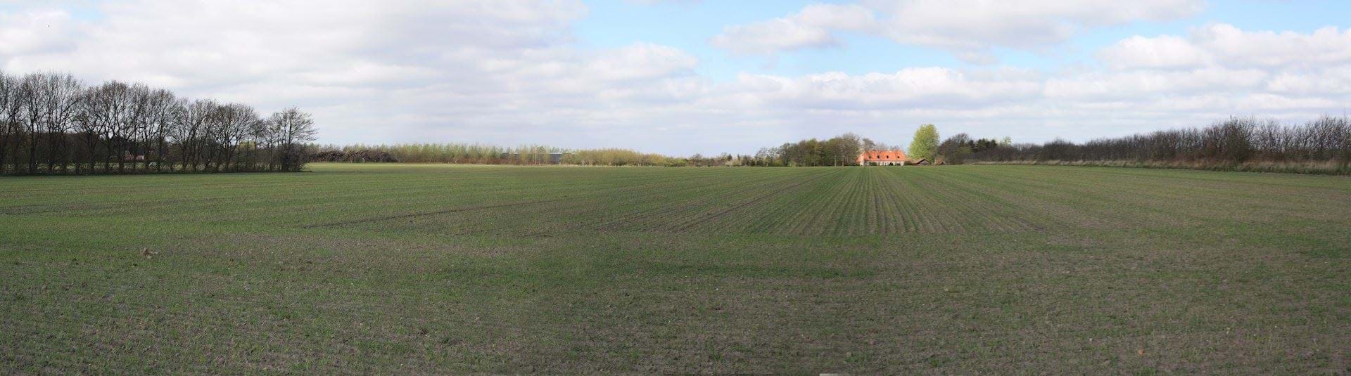 Panorama af lokalplanområdet set fra Guldagervej mod nord, øst for den eksisterende landejendom.